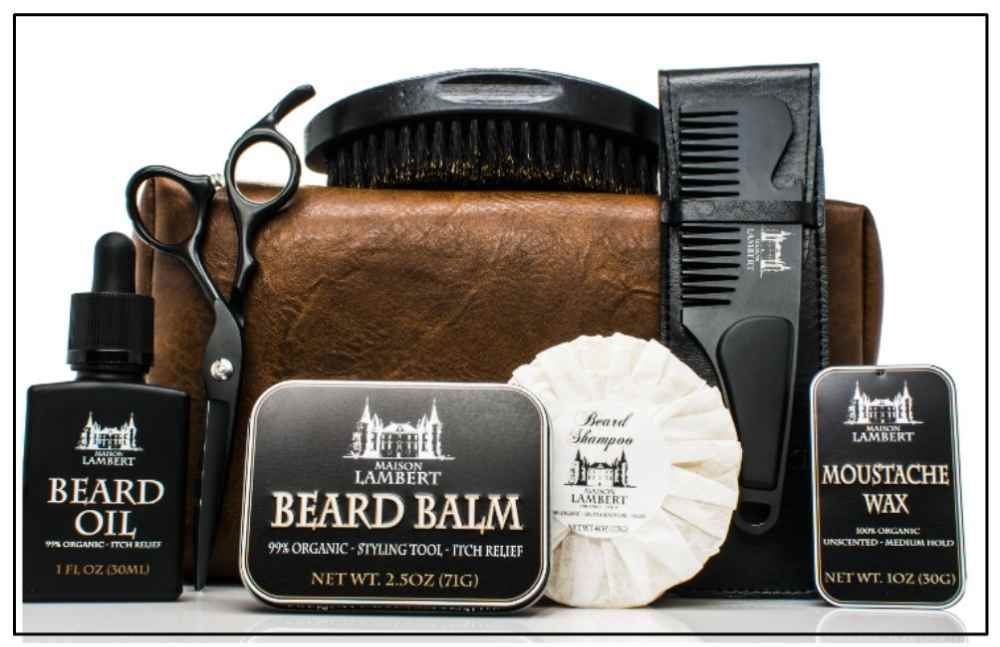 The 6 Best Beard Grooming Kits All Your Beard Needs In 1 Kit - Beautysparkreview