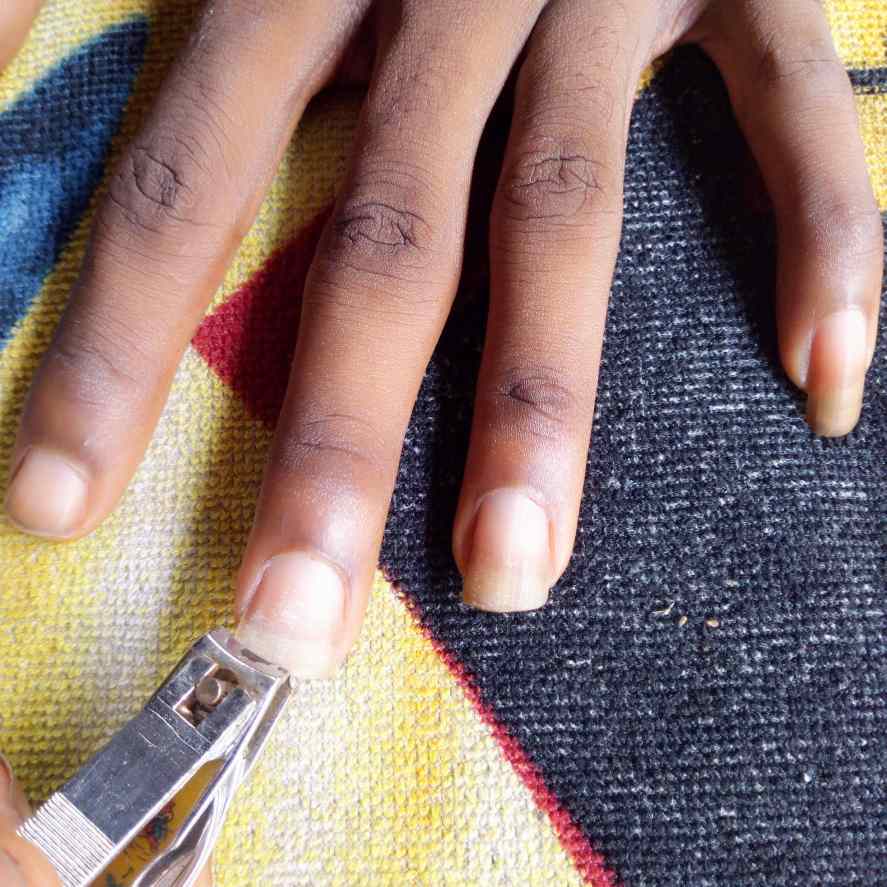 How To Cut Your Nails Neatly - Like A Pro. (Step By Step Guide) -  BeautySparkReview