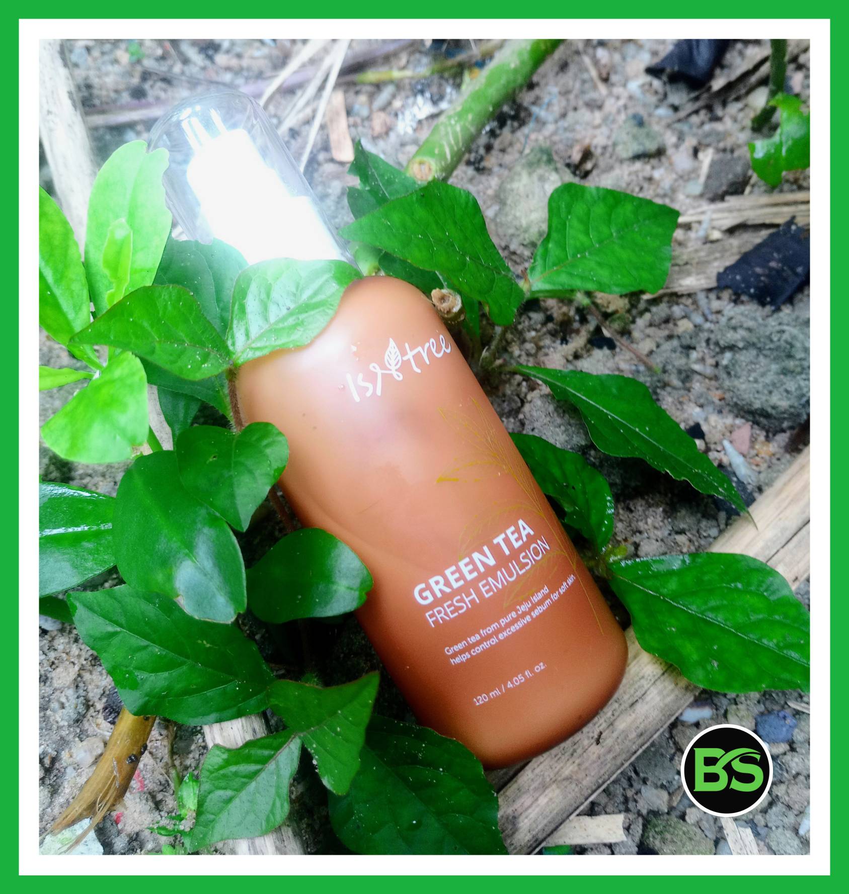 Isntree Green Tea Fresh Emulsion review 